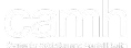 CAMH Logo
